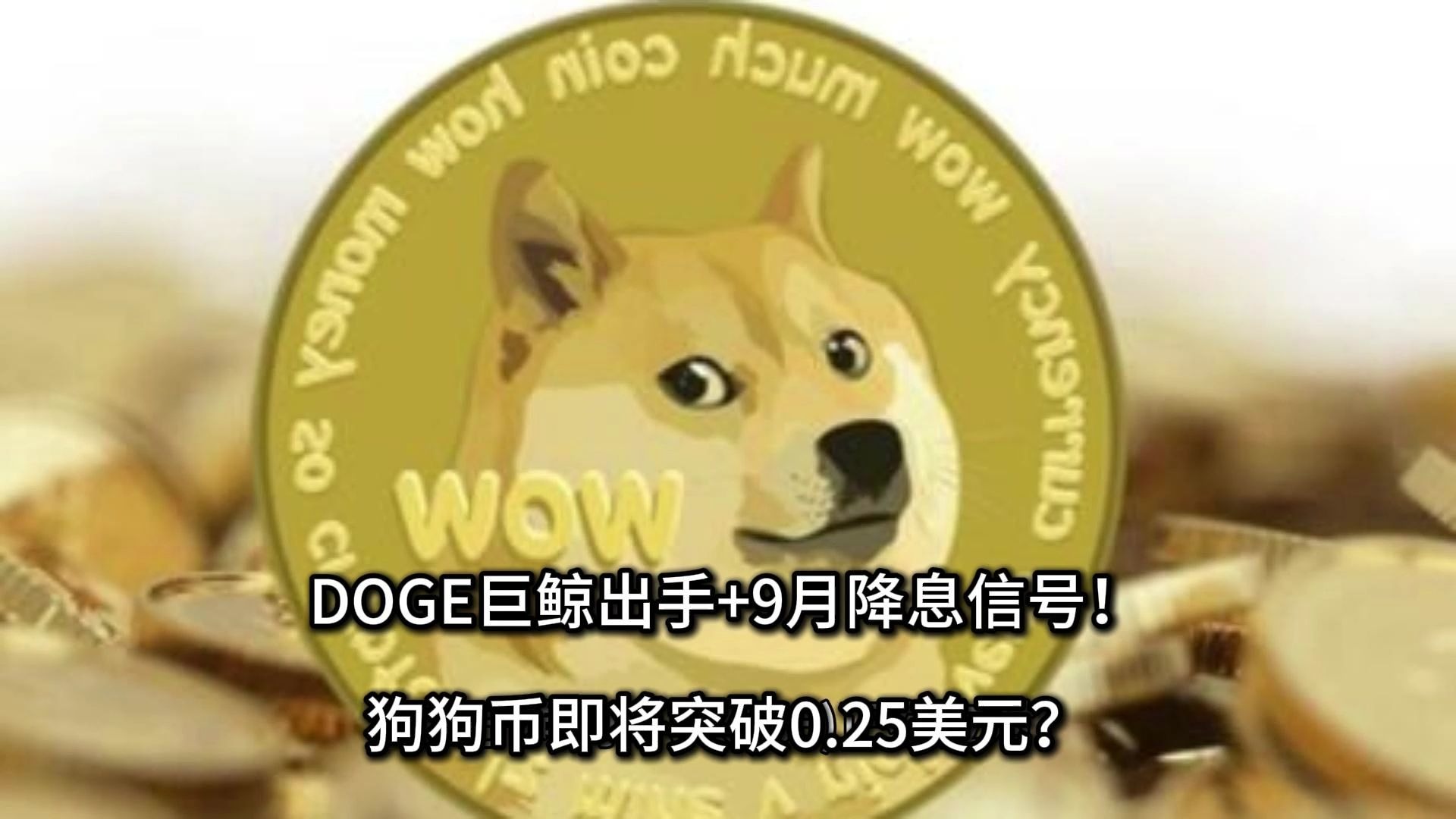 AYX爱游戏中国-包含专家称狗狗币将在年底冲破SHIB美元，引发引发关注，引发热议的词条